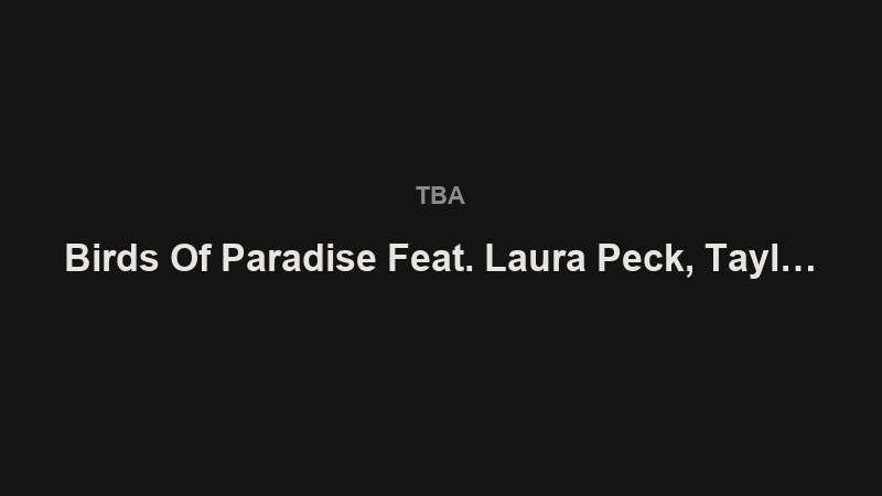 Birds of Paradise feat. Laura Peck, Taylor Houseman, Pablo Efef, Justo